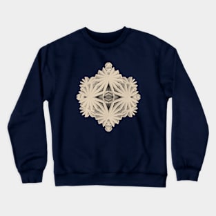 Ancient Calaabachti Filigrane Crewneck Sweatshirt